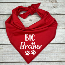 Load image into Gallery viewer, Big Brother Dog Bandana