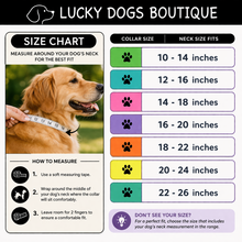 Load image into Gallery viewer, Waterproof BioThane® Dog Collar Adjustable Custom Color Nickel Buckle