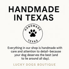 Load image into Gallery viewer, Vivid Orange BioThane® Waterproof Dog Leash 1"