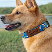 Load image into Gallery viewer, Personalized Fisherman's Catch Dog Collar with Fish n Bobbins, Leather Name and Number Patch + Optional Leash