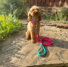 Load image into Gallery viewer, Custom Two-Tone BioThane® Dog Collar with Nickel Buckles | 1" Quick Release Adjustable | Waterproof, Odor-Proof, Durable Pet Collar