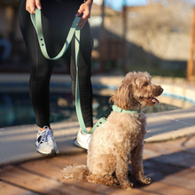 Load image into Gallery viewer, Sage Green Waterproof BioThane® Dog Collar 1" Durable, Odor-Free, Easy Clean, Soft Outdoor Pet Collar