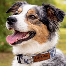 Load image into Gallery viewer, Personalized Camo Dog Collar with Custom Leather Name Patch & Matching Leash Engraved Dog Collar with Phone Number