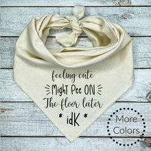 Load image into Gallery viewer, Feeling Cute Might Pee Later Dog Bandana