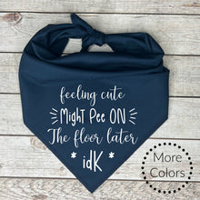 Load image into Gallery viewer, Feeling Cute Might Pee Later Dog Bandana