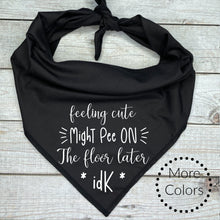 Load image into Gallery viewer, Feeling Cute Might Pee Later Dog Bandana