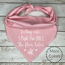 Load image into Gallery viewer, Feeling Cute Might Pee Later Dog Bandana