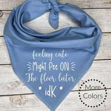 Load image into Gallery viewer, Feeling Cute Might Pee Later Dog Bandana