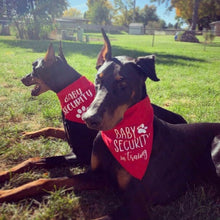 Load image into Gallery viewer, Baby Security Dog Bandana , Birth Announcement Dog Bandana