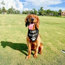 Load image into Gallery viewer, Baby Security Dog Bandana , Birth Announcement Dog Bandana