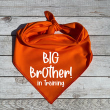 Load image into Gallery viewer, Big Brother in Training Dog Bandana, Pregnancy Announcement