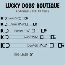 Load image into Gallery viewer, Personalized Dog Collar with Engraved Name with Matching Leash