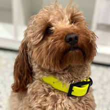 Load image into Gallery viewer, Tan BioThane® Dog Collar 1" Waterproof, Odor-Resistant, Easy Clean