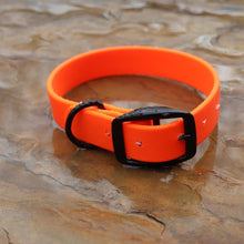 Load image into Gallery viewer, Green Waterproof BioThane® Dog Collar 1" Durable, Odor-Free, Easy Clean Outdoor Pet Gear