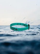 Load image into Gallery viewer, Printed BioThane® Dog Collar Waterproof, Stink-Proof & Durable | 1 Wide | Fun Pattern + Solid | Black Hardware | 3 Color Options