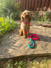 Load image into Gallery viewer, Two Tone BioThane® Dog Collar with Black Buckles | Waterproof Stink Proof Durable Dog Walking Gear | Custom Collar