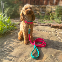 Load image into Gallery viewer, Two Tone BioThane® Dog Collar with Black Buckles | Waterproof Stink Proof Durable Dog Walking Gear | Custom Collar