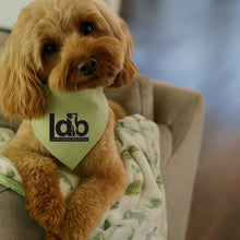 Load image into Gallery viewer, Custom Logo Dog Bandana - Branded Pet Accessory for Business Promotions