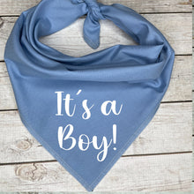 Load image into Gallery viewer, It's a Boy Dog Bandana