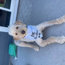 Load image into Gallery viewer, Big BrotherBlue Seer Sucker Dog Bandana, Birth Announcement