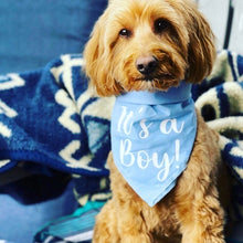 Load image into Gallery viewer, It's a Boy Dog Bandana, Pregnancy Announcement, Gender Reveal