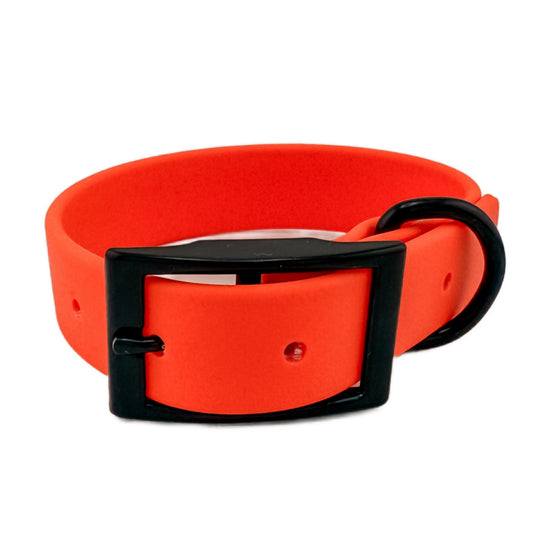 Vivid Orange Waterproof BioThane® Dog Collar 1"  Durable, Odor-Proof, Easy Clean, Outdoor Pet Gear
