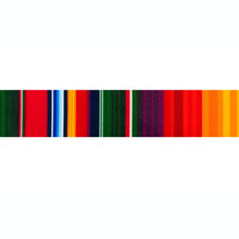 Load image into Gallery viewer, Personalized Serape Dog Collar with Engraved Name with Matching Leash
