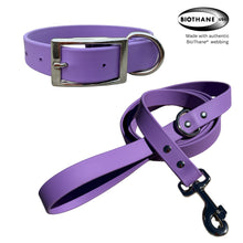 Load image into Gallery viewer, Light Purple BioThane® Waterproof Dog Leash 1"  Durable, Odor-Resistant, and Easy to Clean
