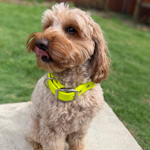 Load image into Gallery viewer, Biothane Martingale Dog Collar with Buckle | Waterproof Adjustable Training Collar, Matching Leash Option
