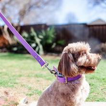 Load image into Gallery viewer, Light Purple BioThane® Waterproof Dog Leash 1"  Durable, Odor-Resistant, and Easy to Clean
