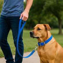 Load image into Gallery viewer, Blue BioThane® Waterproof Dog Leash 1"  Durable, Odor-Resistant, and Easy to Clean
