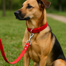 Load image into Gallery viewer, Red Waterproof BioThane® Dog Collar 1"  Durable, Easy-Clean, Odor-Resistant Pet Gear for Active Dogs
