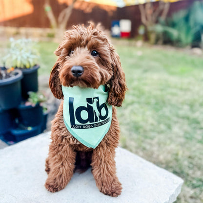 Custom Logo Dog Bandana - Branded Pet Accessory for Business Promotions