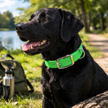 Load image into Gallery viewer, Waterproof BioThane® Dog Collar Adjustable Custom Color Nickel Buckle
