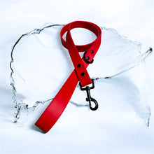 Load image into Gallery viewer, Red BioThane® Waterproof Dog Leash 1&quot;
