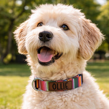 Load image into Gallery viewer, Personalized Serape Dog Collar with Engraved Name with Matching Leash
