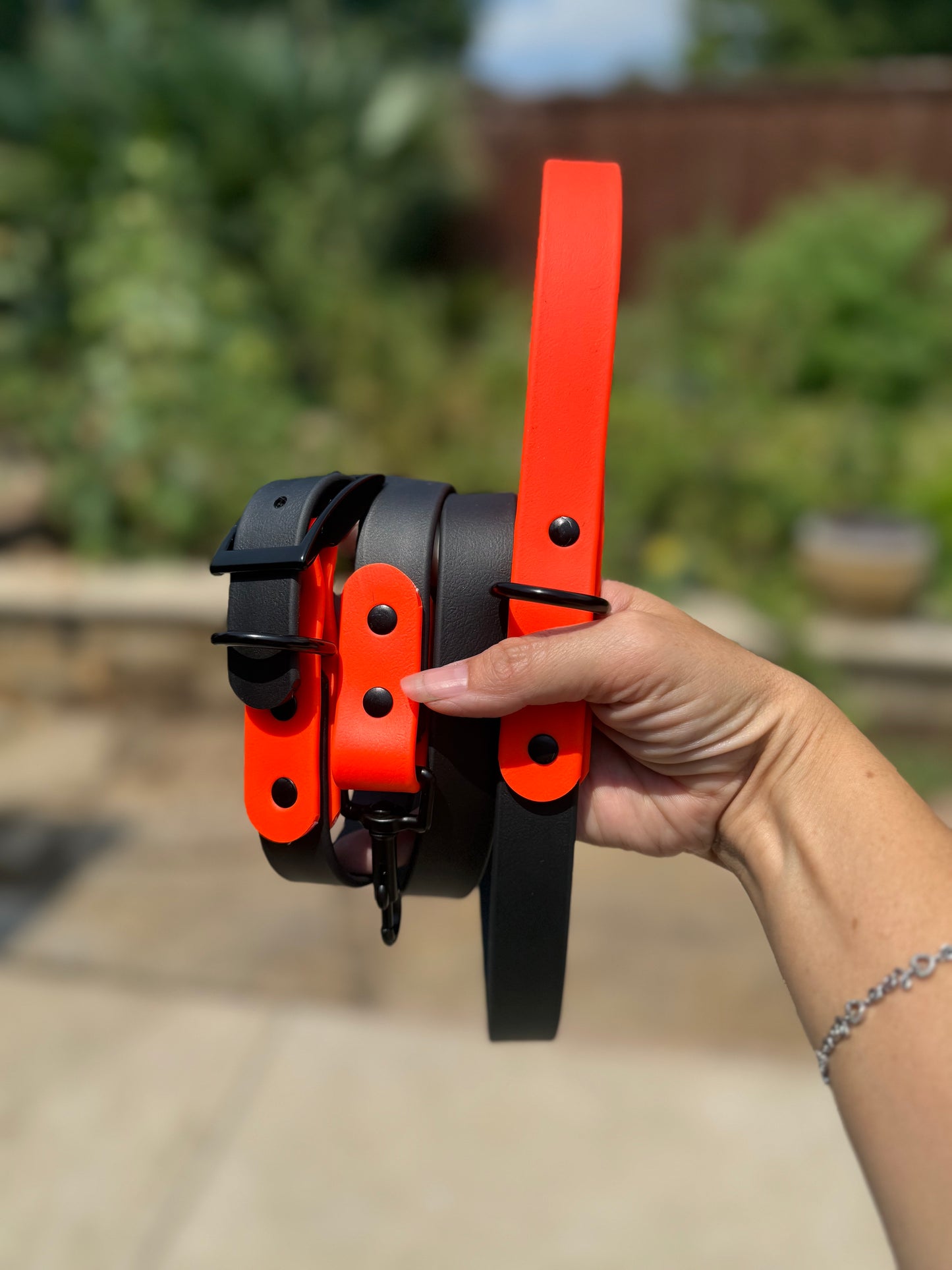 Two-Tone BioThane® Dog Collar & Leash Set