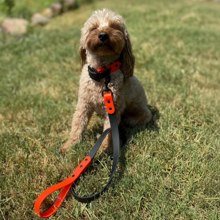 Two-Tone BioThane® Dog Collar & Leash Set