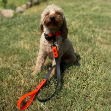Load image into Gallery viewer, Two Tone BioThane® Dog Collar and Leash Set | Waterproof Stink Proof Durable Dog Walking Gear | Custom Collar &amp; Leash Combo
