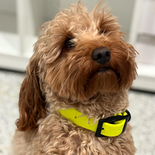 Load image into Gallery viewer, Waterproof BioThane® Dog Collar Adjustable Custom Color Black Buckle
