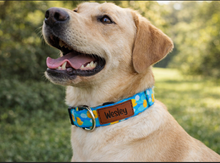 Load image into Gallery viewer, Personalized Duckies Dog Collar, Leather Name and Number Patch + Optional Leash

