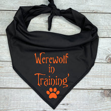 Load image into Gallery viewer, Halloween! Dog Bandana
