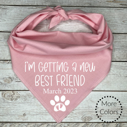 Dog bandana color selection photo