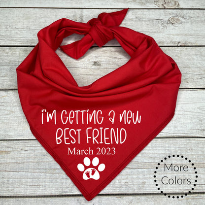 Dog bandana color selection photo