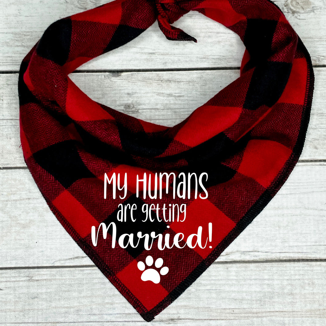 Getting Married Dog Bandana in Christmas Plaid