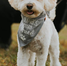 Load image into Gallery viewer, My Humans are getting Married! Dog Bandana
