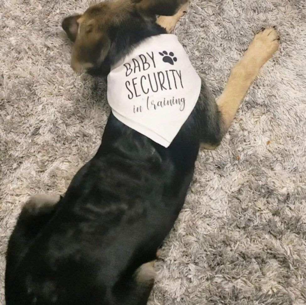 Handmade Baby Security in Training pet bandana