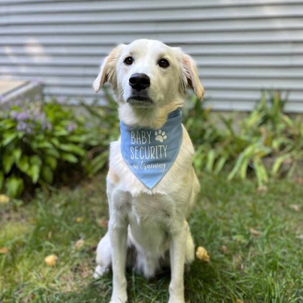 Dog bandana color choices