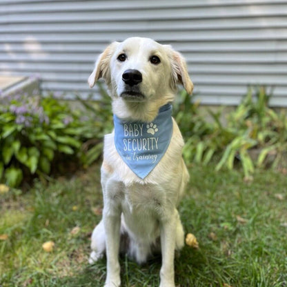 Dog bandana color choices
