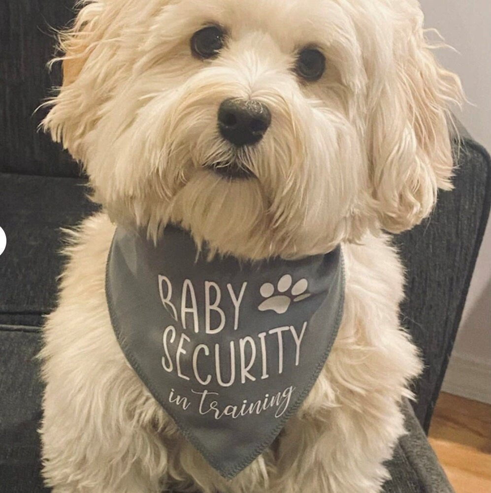 Tie-on dog bandana sizing information